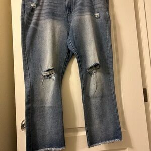 a.n.a Classic Blue Denim Jeans